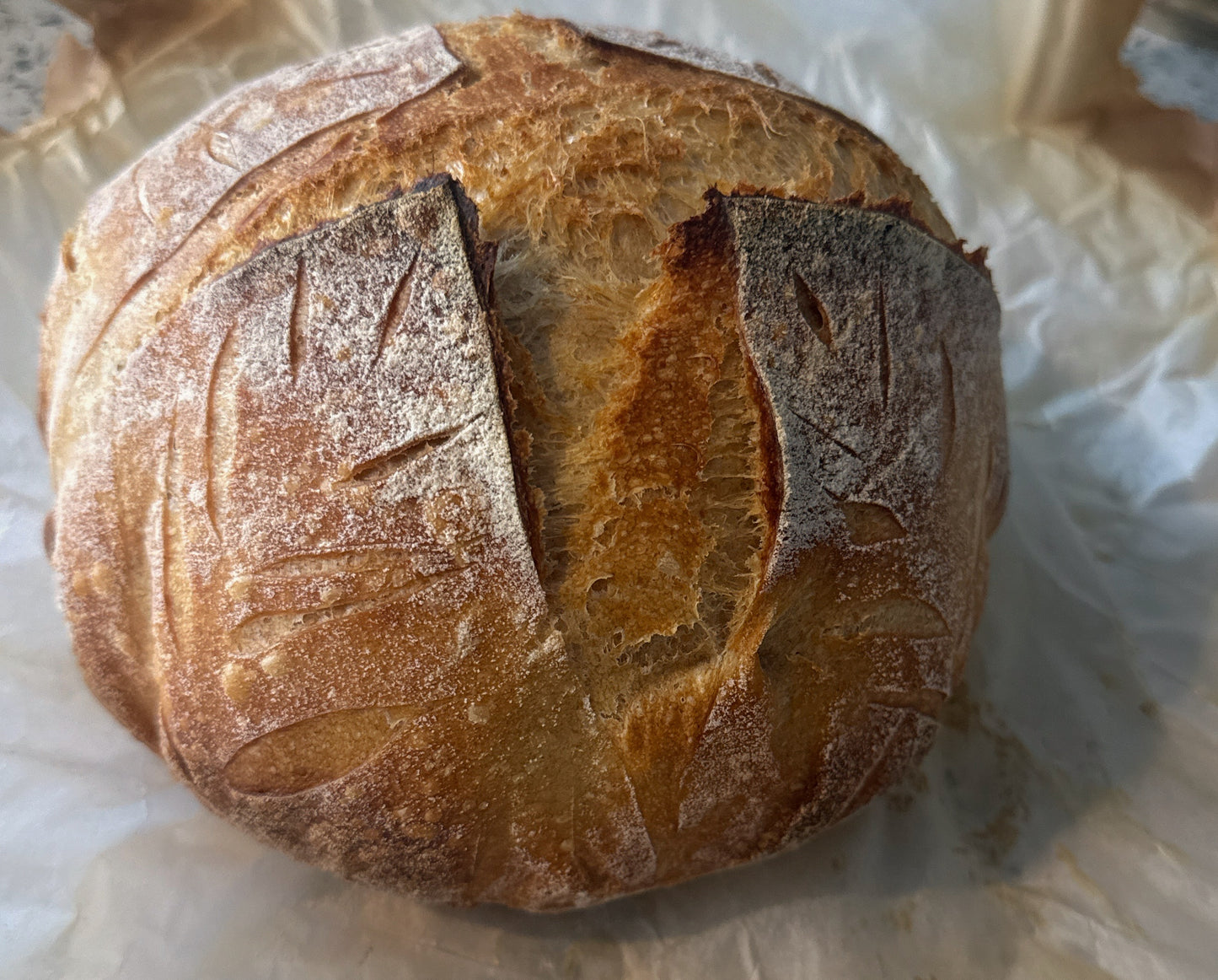 Sourdough